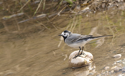 20120203230123-48c62979