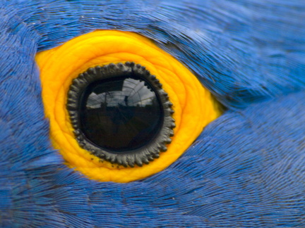 20120203230839-5d4b454d