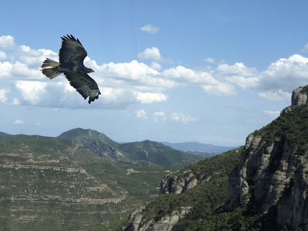 20120203231059-42c28209