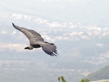 20120203231538-456477e8