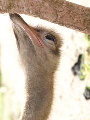20120204143246-3bda32c9