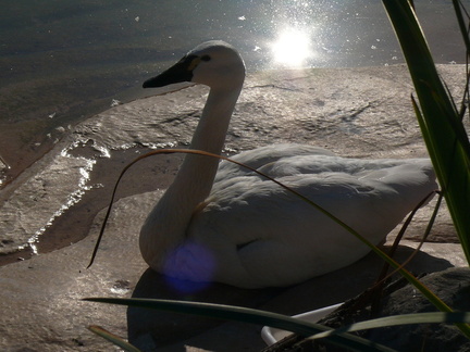 20120204150019-d398b323