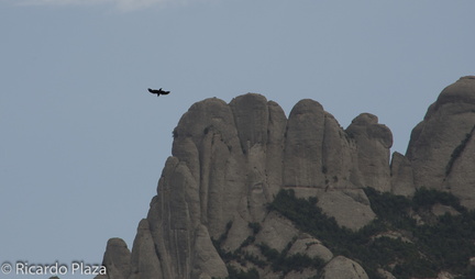 20150627190208-0c4b6d55