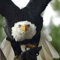 20120202210941-aadc72a9