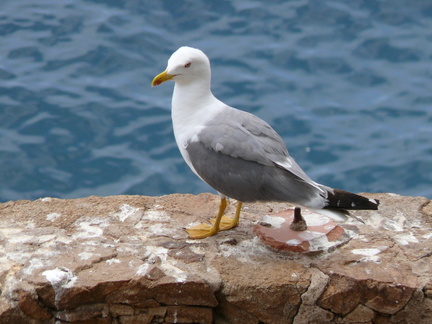 20120204150127-a5fd1ce3