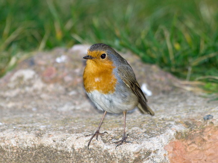 20140326204531-cba37e87