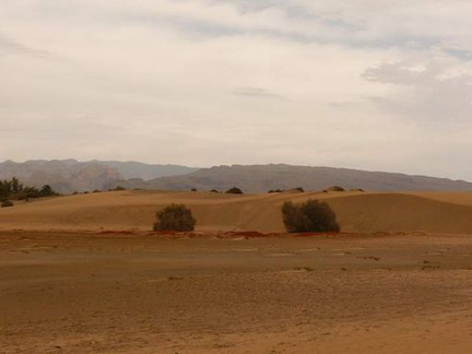 20120203235323-05803906
