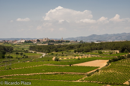 20150627190443-1ee2355f