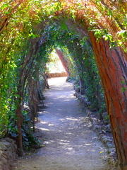 20120204144641-11bf8098