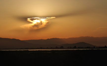 cielo bonito pelicano