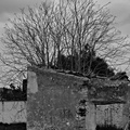  IMG0852