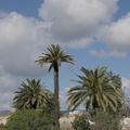  IMG9674